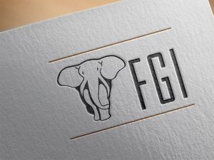 Imagine 360 Marketing FGI Logo